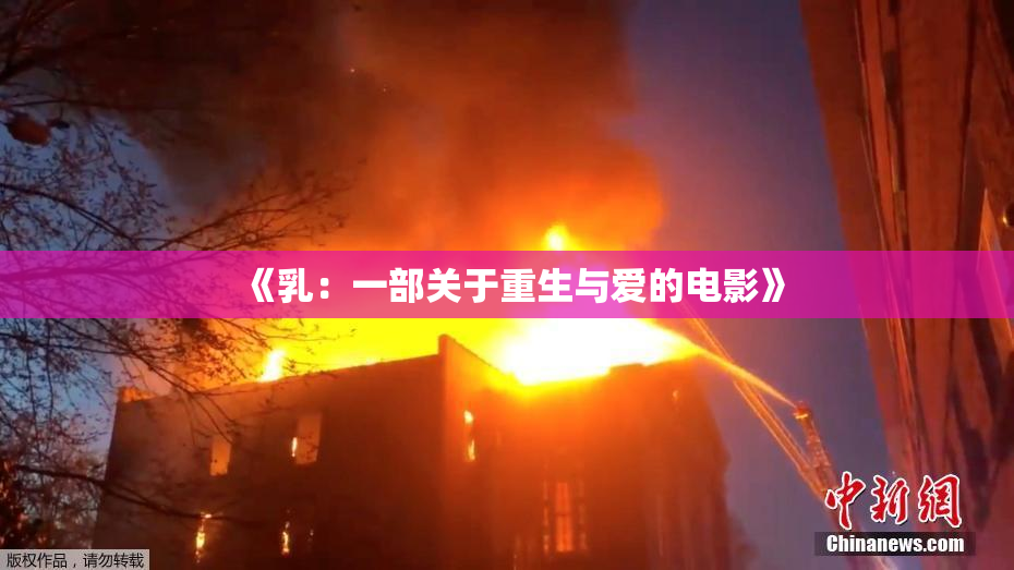 《乳：一部关于重生与爱的电影》