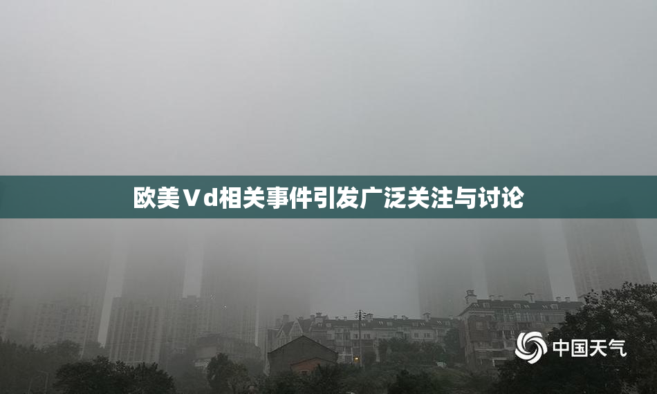欧美Ⅴd相关事件引发广泛关注与讨论