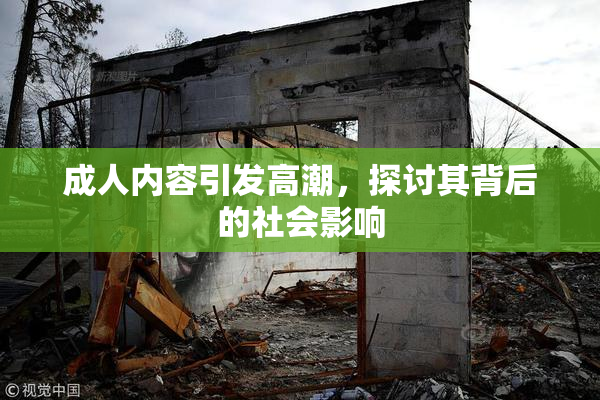 成人内容引发高潮，探讨其背后的社会影响