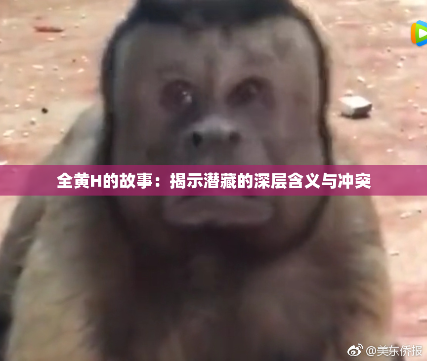 全黄H的故事：揭示潜藏的深层含义与冲突