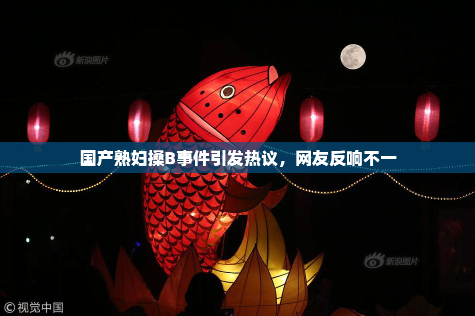 国产熟妇搡B事件引发热议，网友反响不一