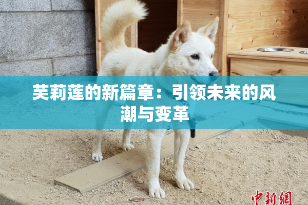 芙莉莲的新篇章：引领未来的风潮与变革