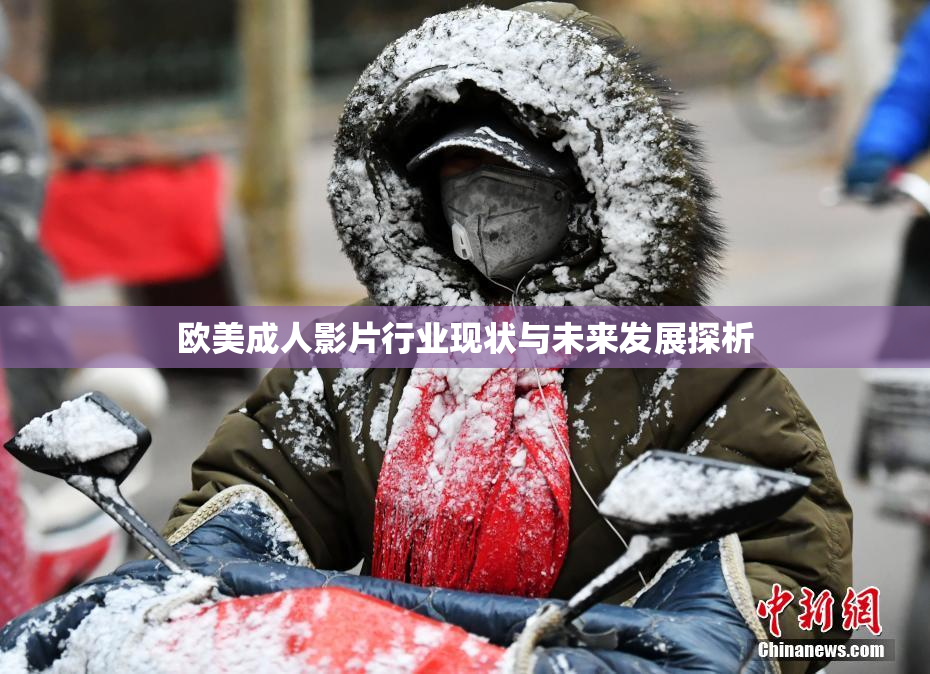 欧美成人影片行业现状与未来发展探析