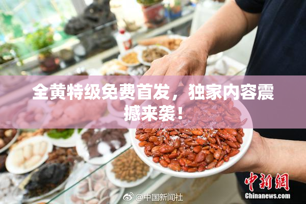 全黄特级免费首发，独家内容震撼来袭！