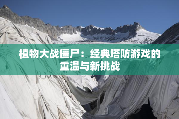 植物大战僵尸：经典塔防游戏的重温与新挑战