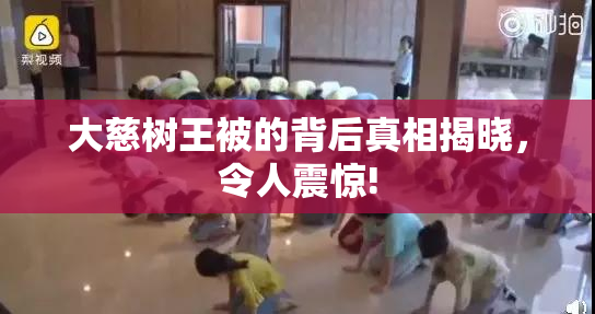大慈树王被的背后真相揭晓，令人震惊!