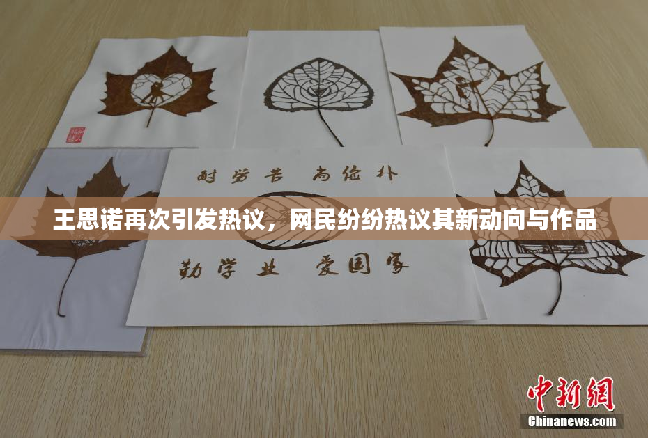 王思诺再次引发热议，网民纷纷热议其新动向与作品