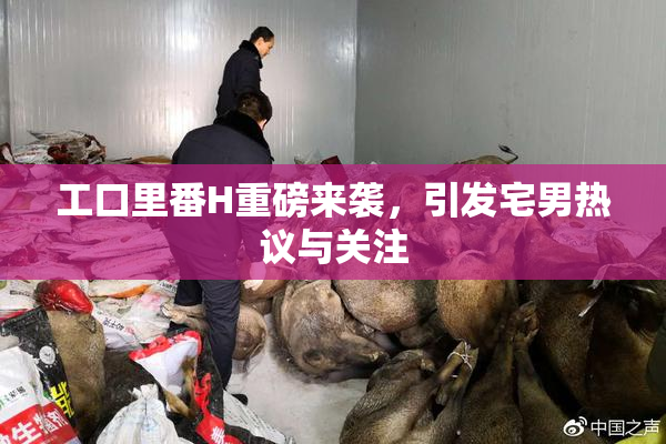 工口里番H重磅来袭，引发宅男热议与关注