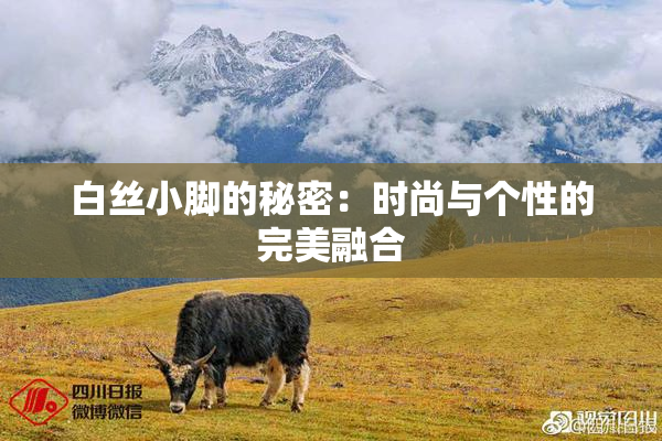 白丝小脚的秘密：时尚与个性的完美融合