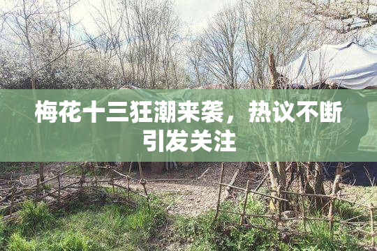 梅花十三狂潮来袭，热议不断引发关注