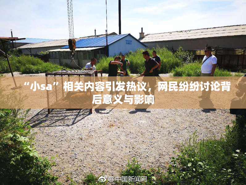 “小sa”相关内容引发热议，网民纷纷讨论背后意义与影响