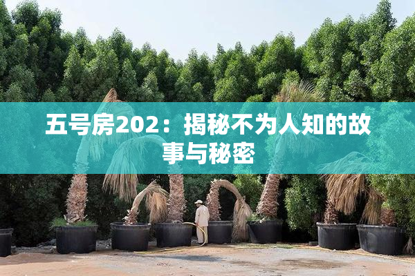 五号房202：揭秘不为人知的故事与秘密