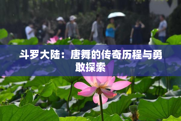 斗罗大陆：唐舞的传奇历程与勇敢探索