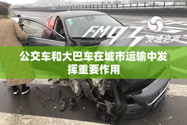 公交车和大巴车在城市运输中发挥重要作用