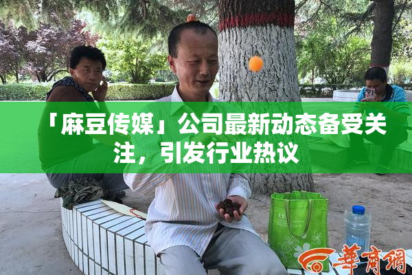 「麻豆传媒」公司最新动态备受关注，引发行业热议