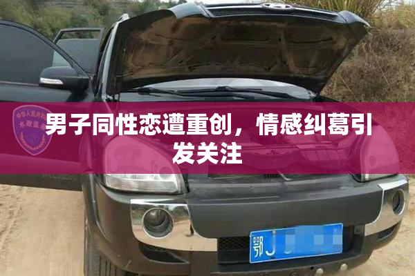 男子同性恋遭重创，情感纠葛引发关注