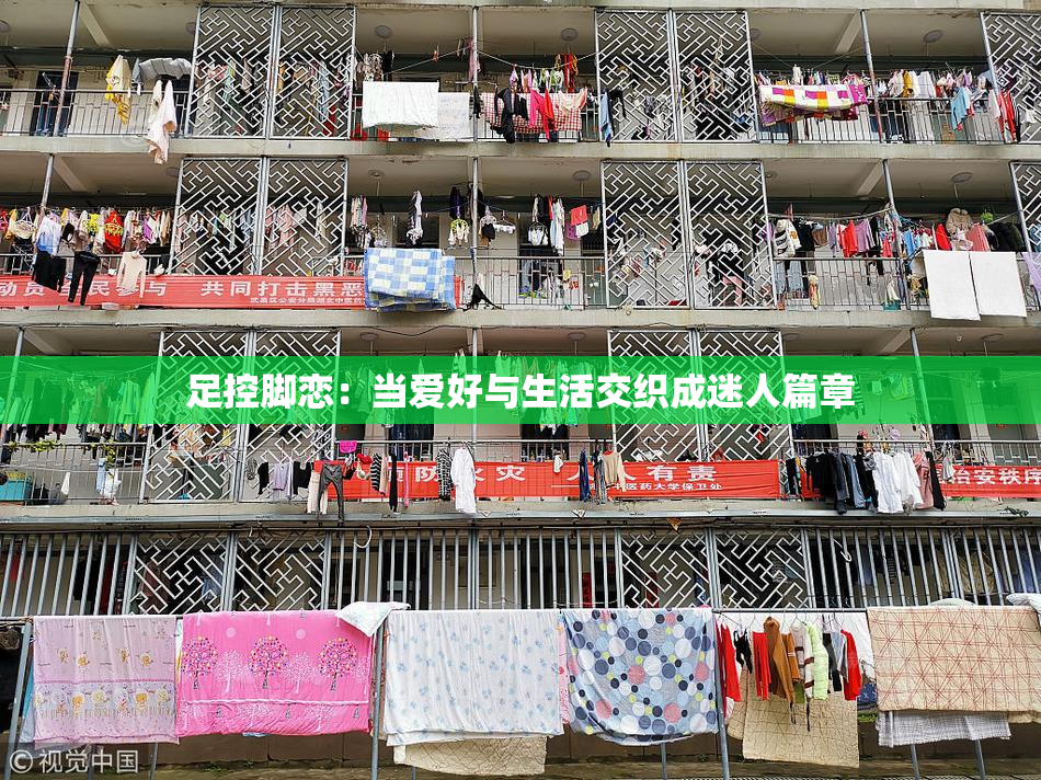 足控脚恋：当爱好与生活交织成迷人篇章