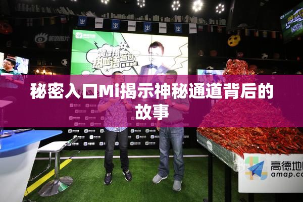 秘密入口Mi揭示神秘通道背后的故事