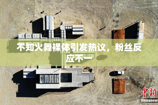 不知火舞裸体引发热议，粉丝反应不一