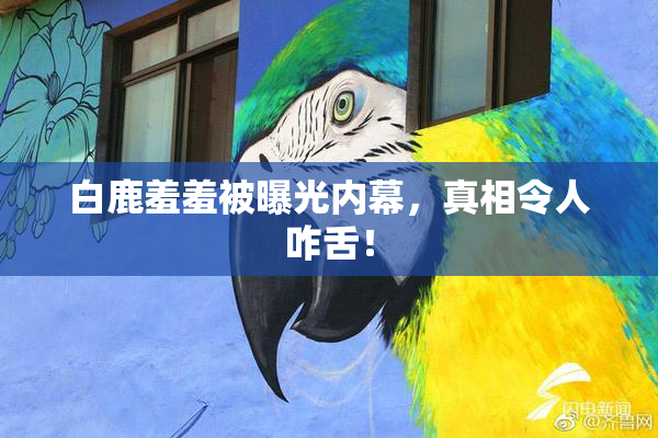 白鹿羞羞被曝光内幕，真相令人咋舌！