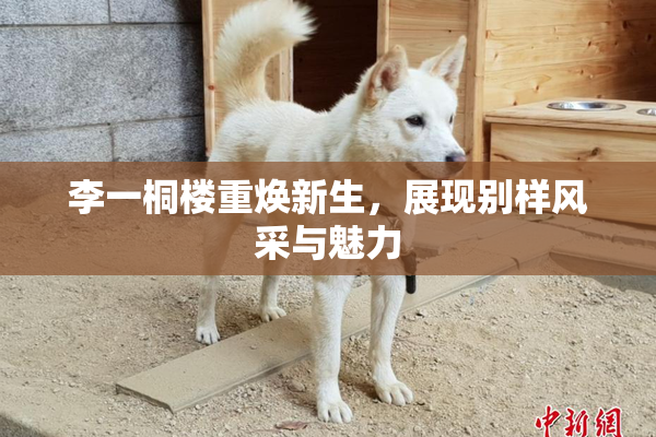 李一桐楼重焕新生，展现别样风采与魅力