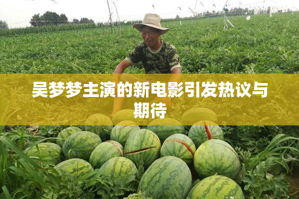 吴梦梦主演的新电影引发热议与期待