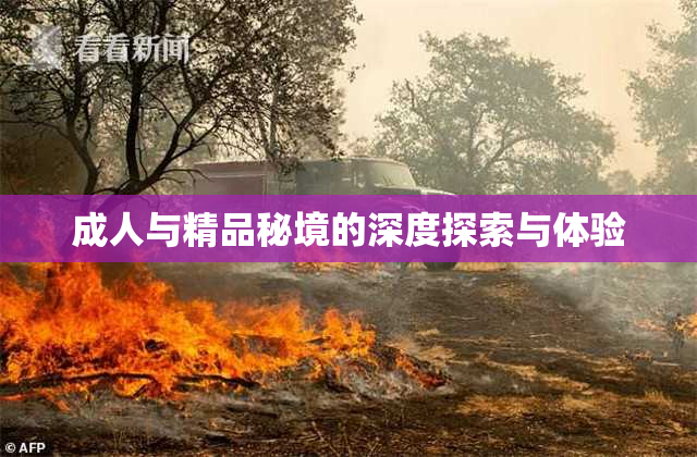 成人与精品秘境的深度探索与体验