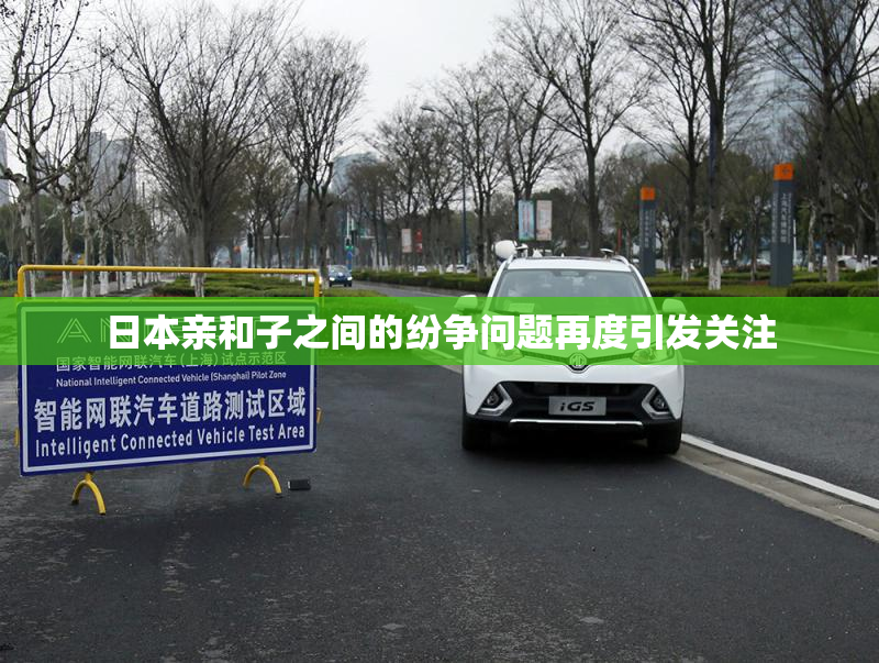日本亲和子之间的纷争问题再度引发关注