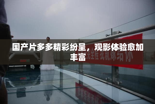 国产片多多精彩纷呈，观影体验愈加丰富