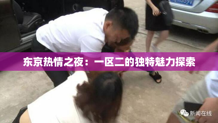 东京热情之夜：一区二的独特魅力探索
