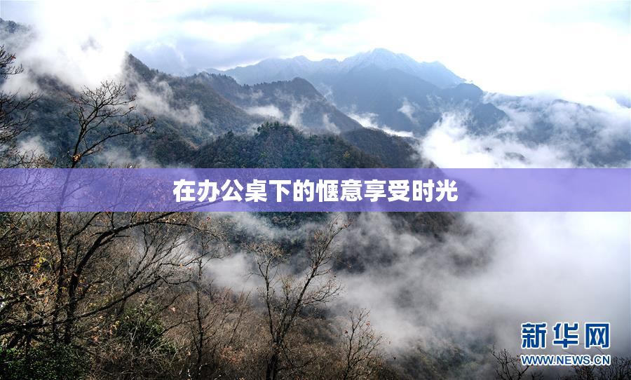 在办公桌下的惬意享受时光