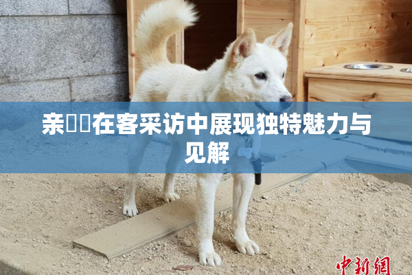 亲妺妺在客采访中展现独特魅力与见解