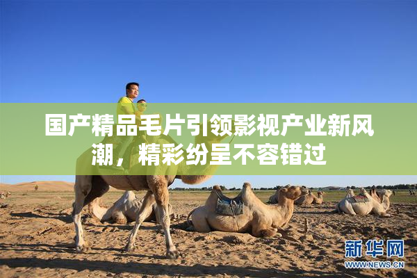 国产精品毛片引领影视产业新风潮，精彩纷呈不容错过