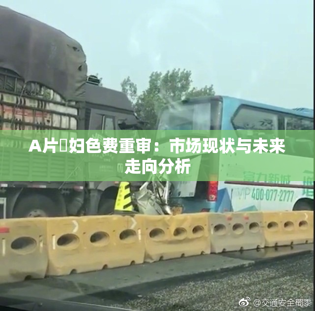 A片婬妇色费重审：市场现状与未来走向分析