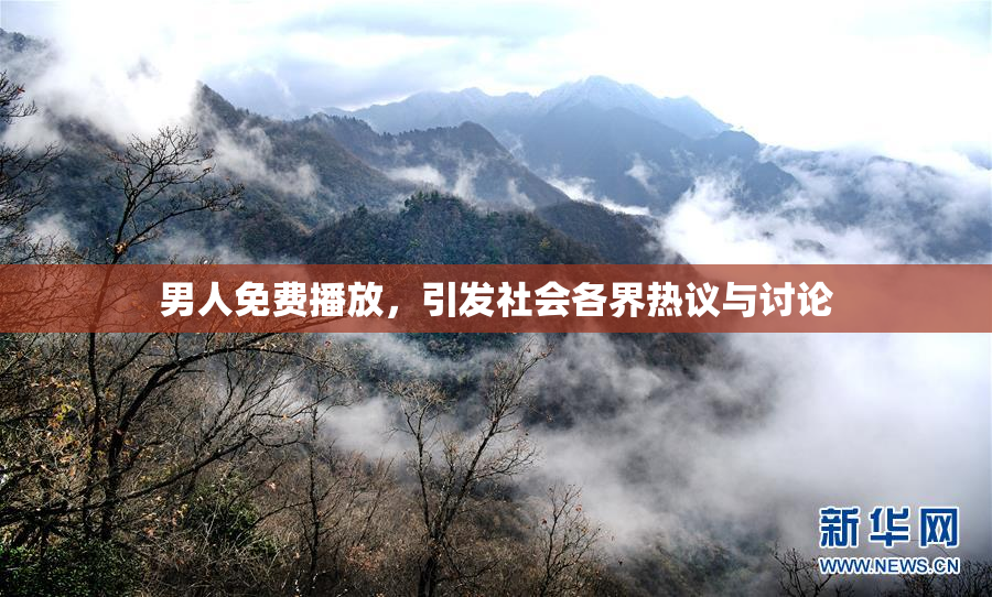 男人免费播放，引发社会各界热议与讨论