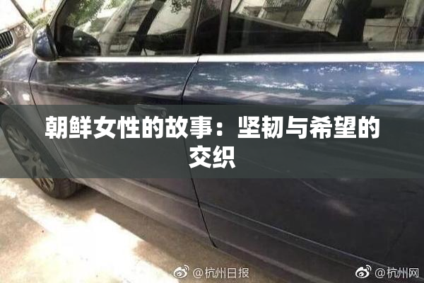 朝鲜女性的故事：坚韧与希望的交织