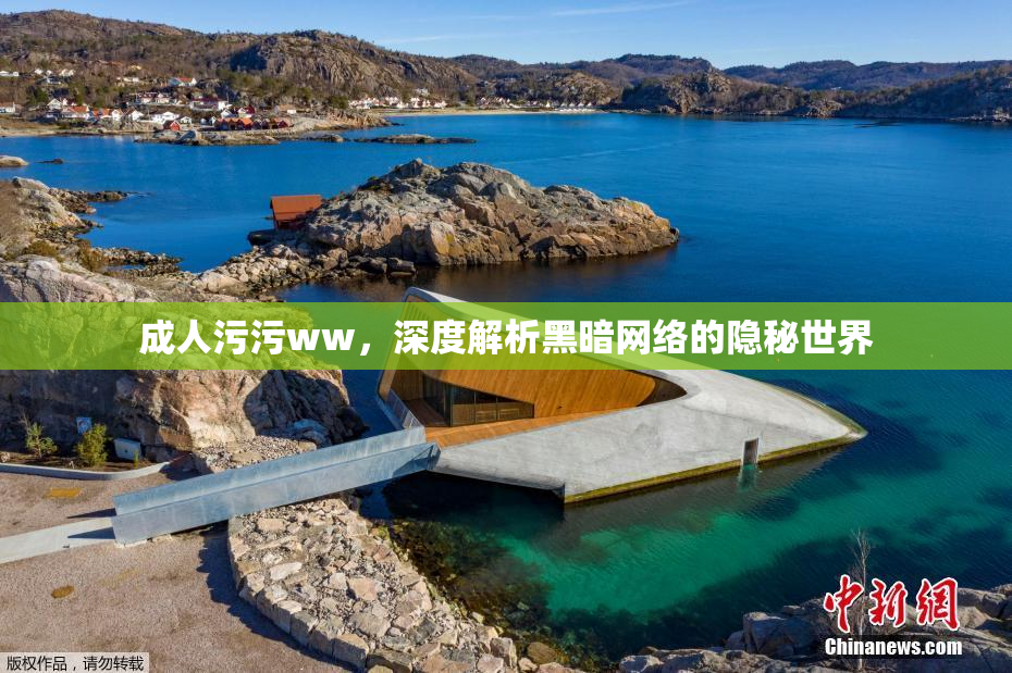 成人污污ww，深度解析黑暗网络的隐秘世界