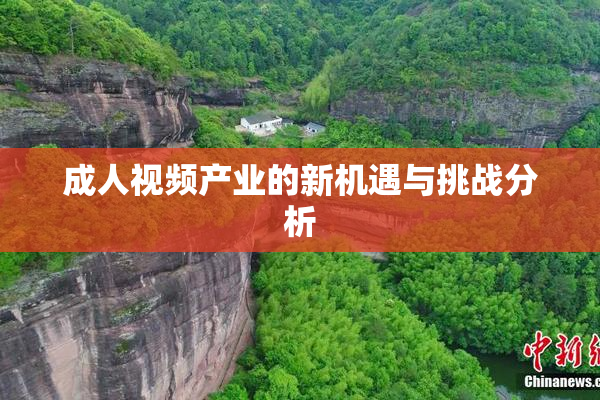 成人视频产业的新机遇与挑战分析