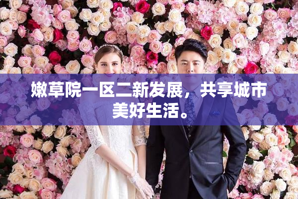 嫩草院一区二新发展，共享城市美好生活。
