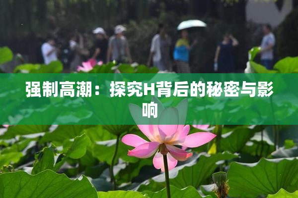 强制高潮：探究H背后的秘密与影响