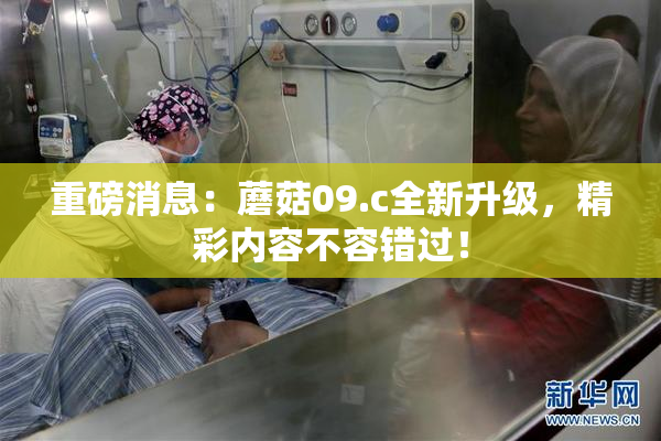 重磅消息：蘑菇09.c全新升级，精彩内容不容错过！