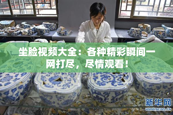坐脸视频大全：各种精彩瞬间一网打尽，尽情观看！