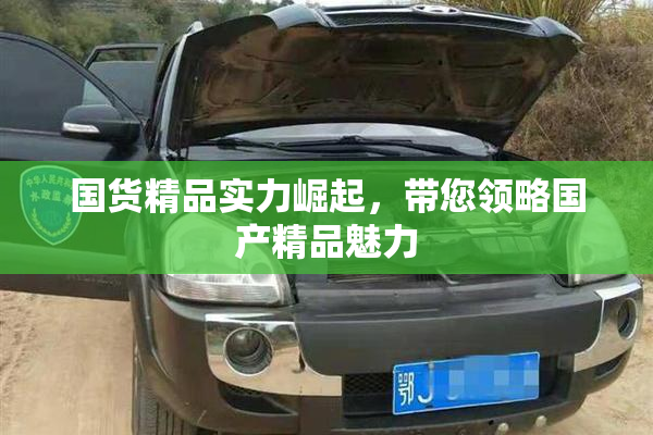 国货精品实力崛起，带您领略国产精品魅力