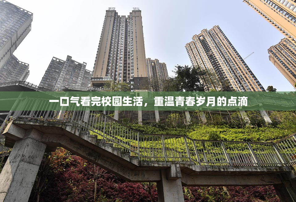 一口气看完校园生活，重温青春岁月的点滴