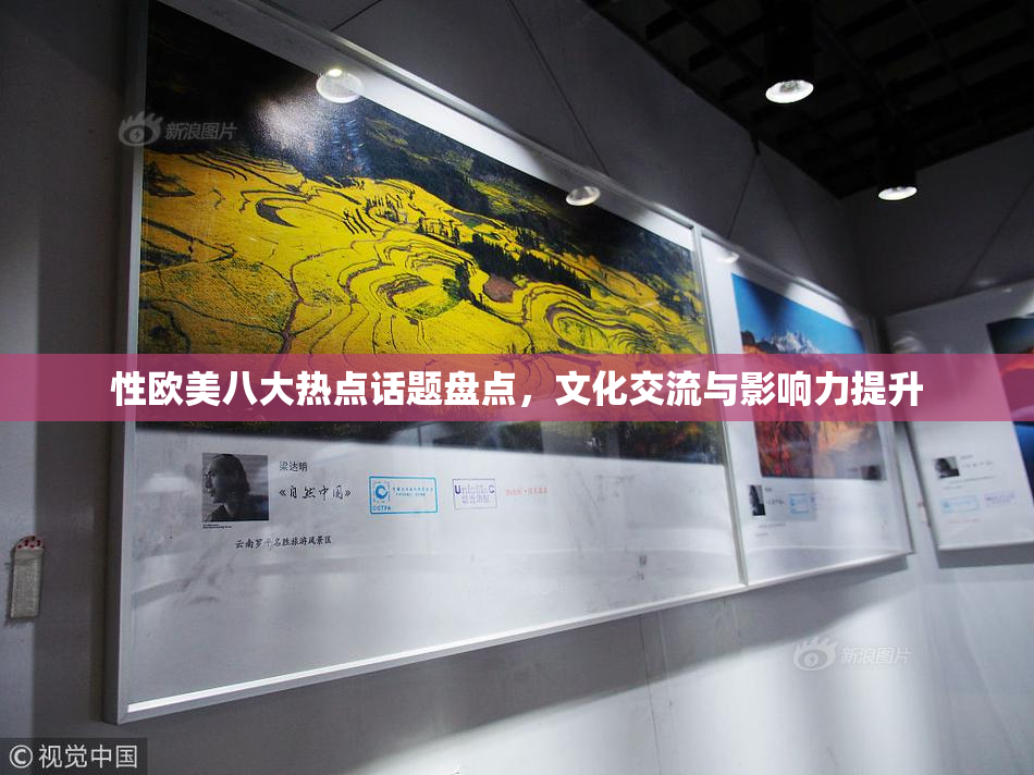 性欧美八大热点话题盘点，文化交流与影响力提升