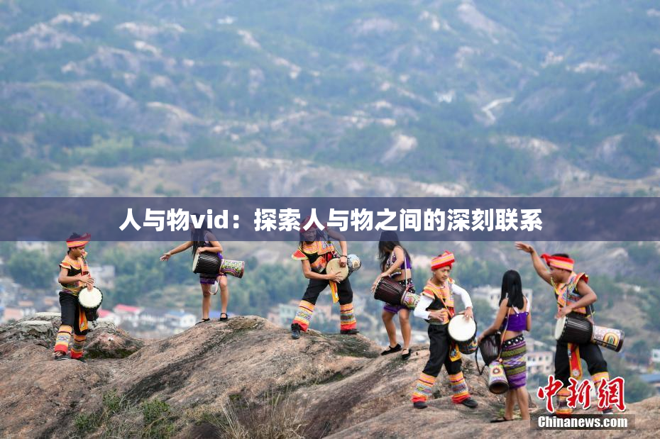人与物vid：探索人与物之间的深刻联系