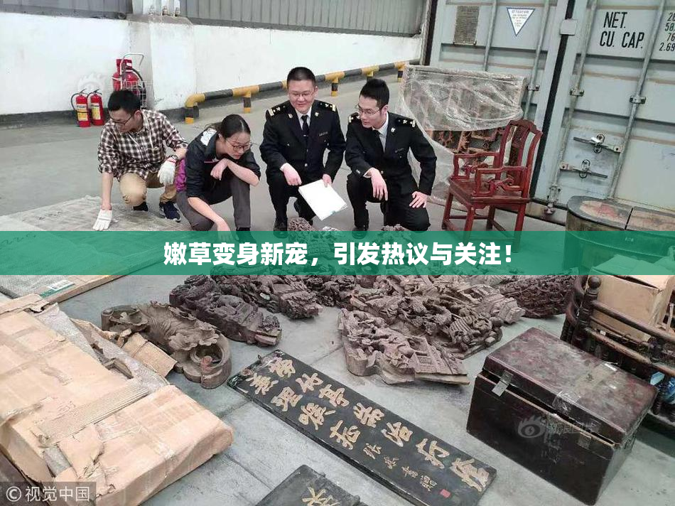 嫩草变身新宠，引发热议与关注！