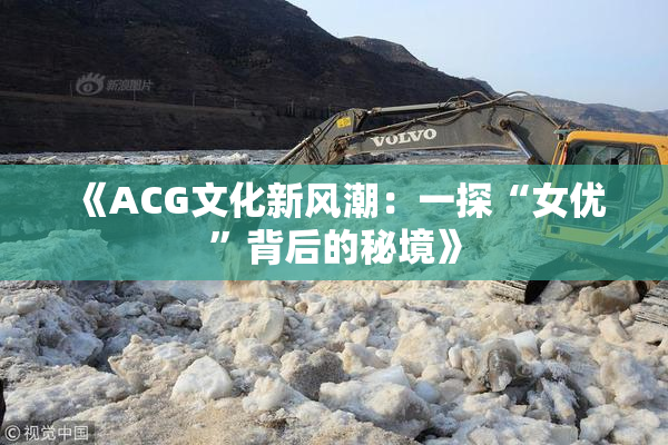 《ACG文化新风潮：一探“女优”背后的秘境》