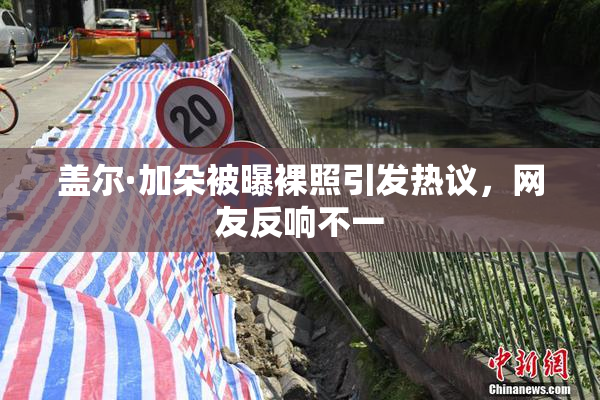 盖尔·加朵被曝裸照引发热议，网友反响不一