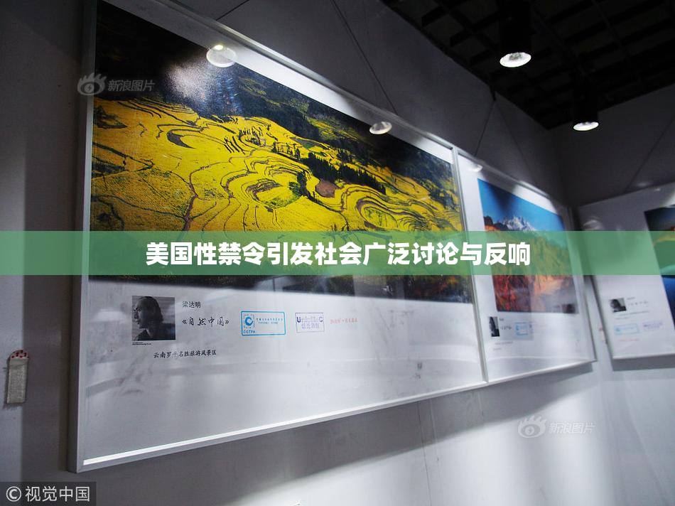 美国性禁令引发社会广泛讨论与反响